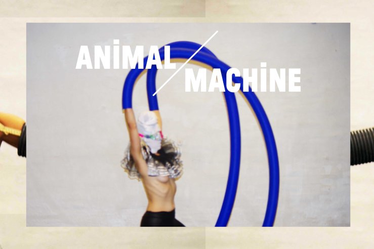 Animachine Showing 3